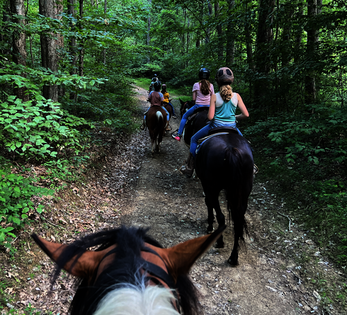horse trail ride
